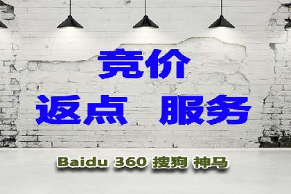 提升转化率：SEM竞价专员的案例研究